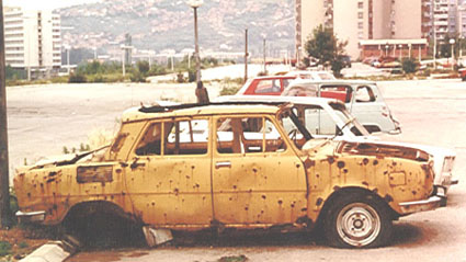 Salkina škoda